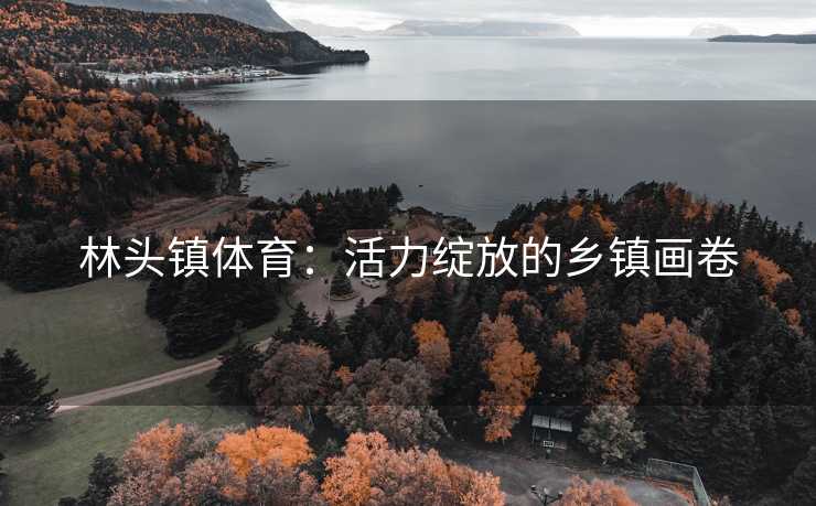 林头镇体育：活力绽放的乡镇画卷