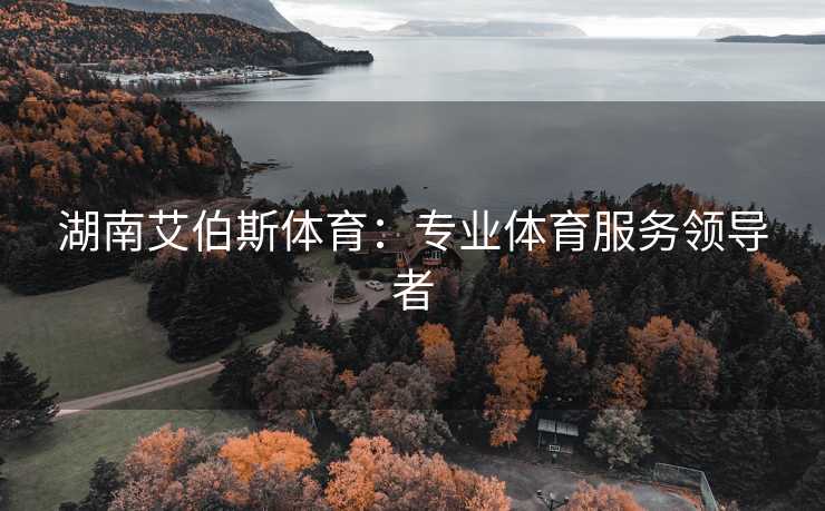 湖南艾伯斯体育：专业体育服务领导者