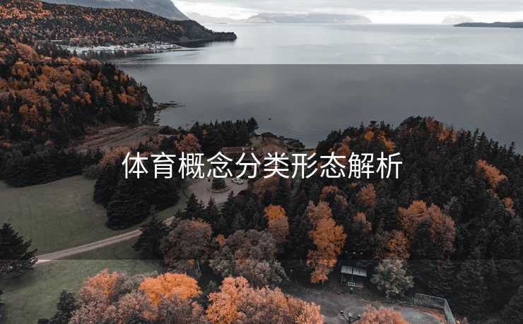 体育概念分类形态解析