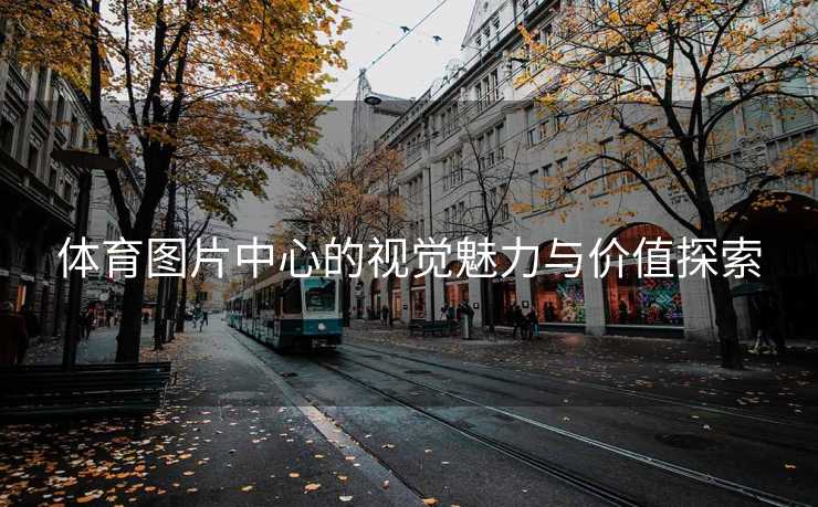 体育图片中心的视觉魅力与价值探索
