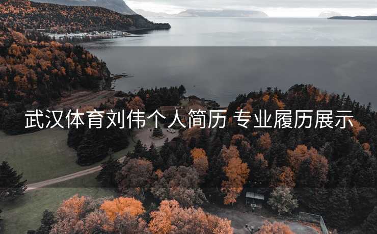 武汉体育刘伟个人简历 专业履历展示