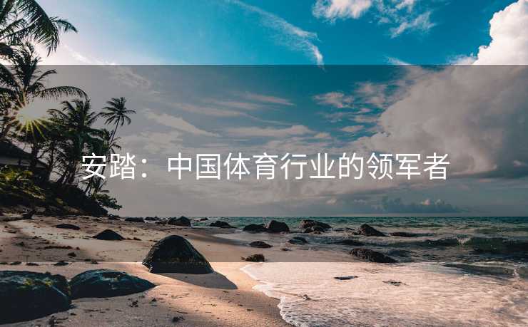 安踏：中国体育行业的领军者