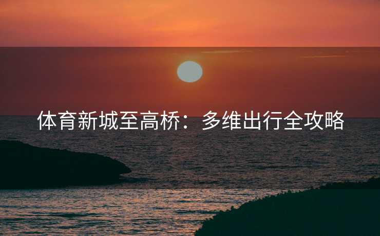 体育新城至高桥:多维出行全攻略 体育新城至高桥:多维出行全攻略