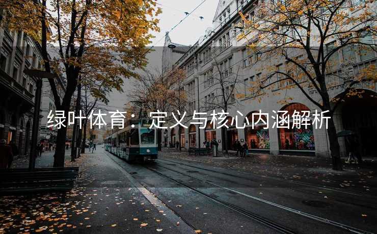 绿叶体育:定义与核心内涵解析 绿叶体育:定义与核心内涵解析